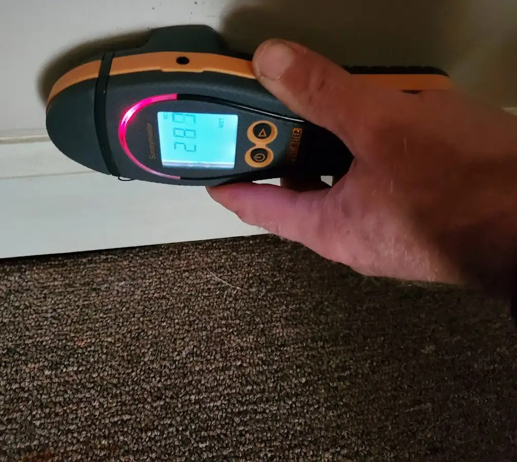 Moisture detection at baseboard during Burst Pipe Cleanup in Gouverneur